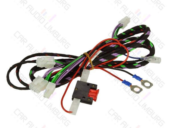 ALPINE pasklare versterker SWA-150KIT Online Car Audio Limburg